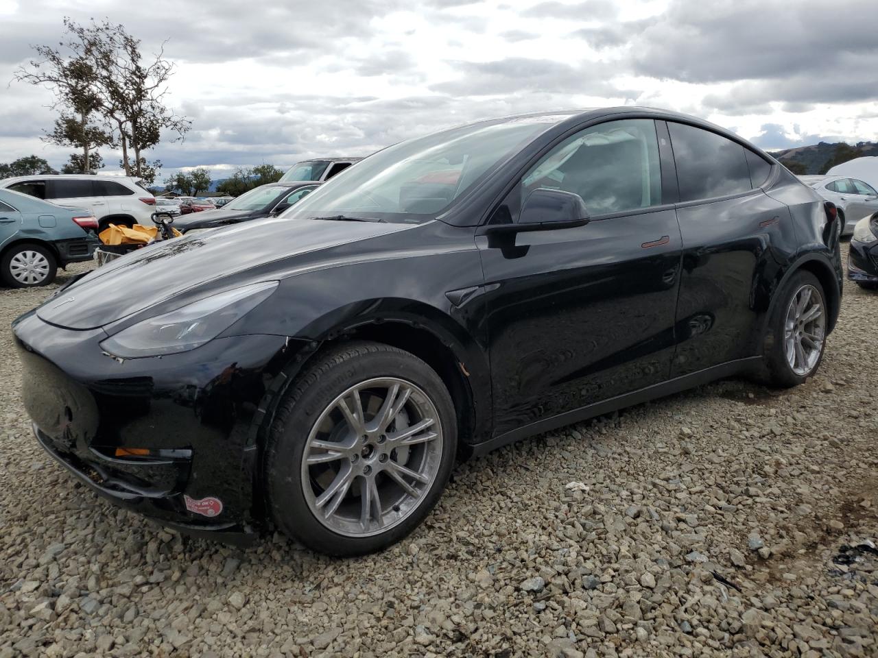 Lot #3311603372 2024 TESLA MODEL Y