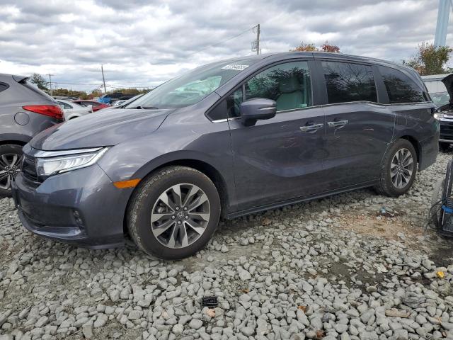 Global Auto Auctions: 2024 HONDA ODYSSEY EXL