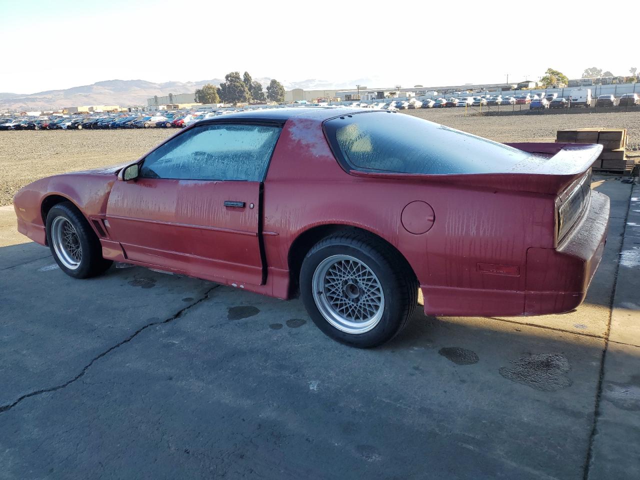 Lot #3285807681 1987 PONTIAC FIREBIRD T