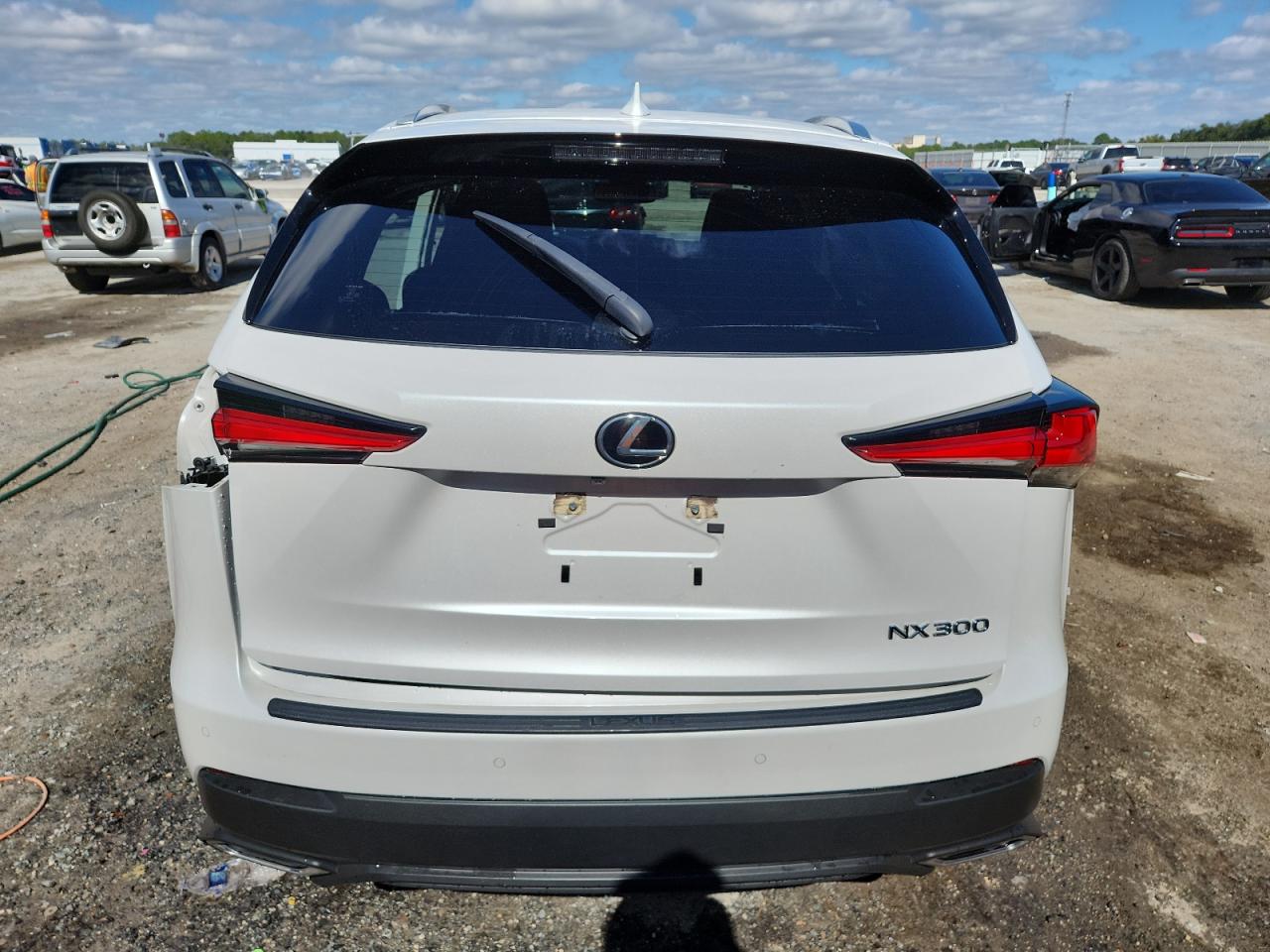 LEXUS NX 300