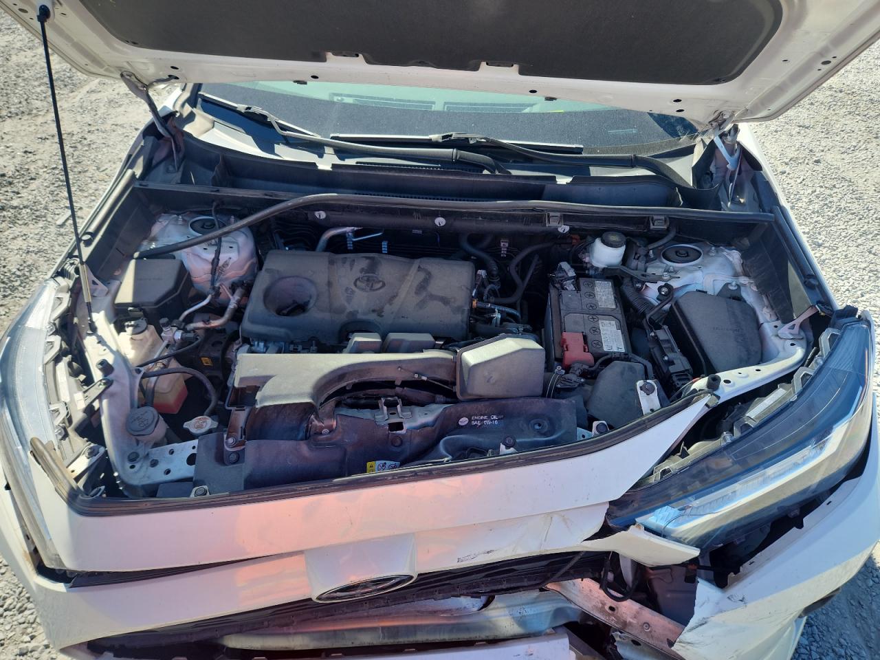 TOYOTA RAV4 XLE PREMIUM