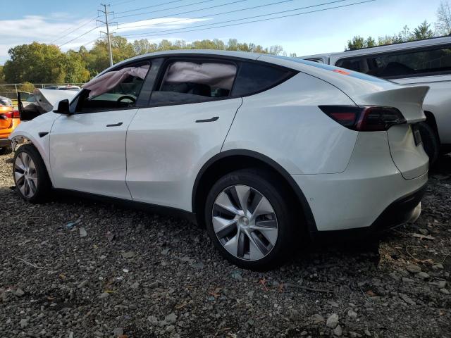 2022 TESLA MODEL Y #3286659315