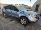 Lot #3305338302 2010 HONDA CR-V EX