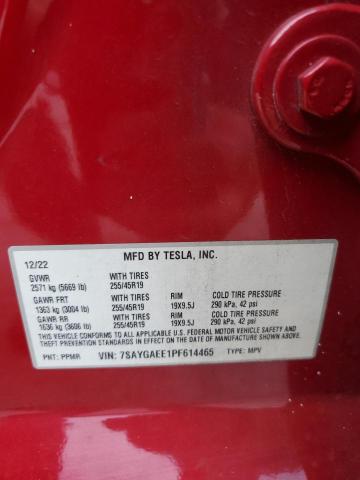 2023 TESLA MODEL Y #3303880717