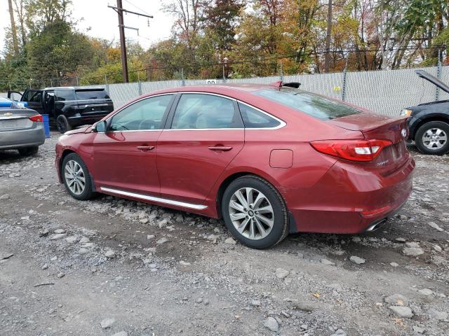 2016 HYUNDAI SONATA SPO - 5NPE34AF0GH298733