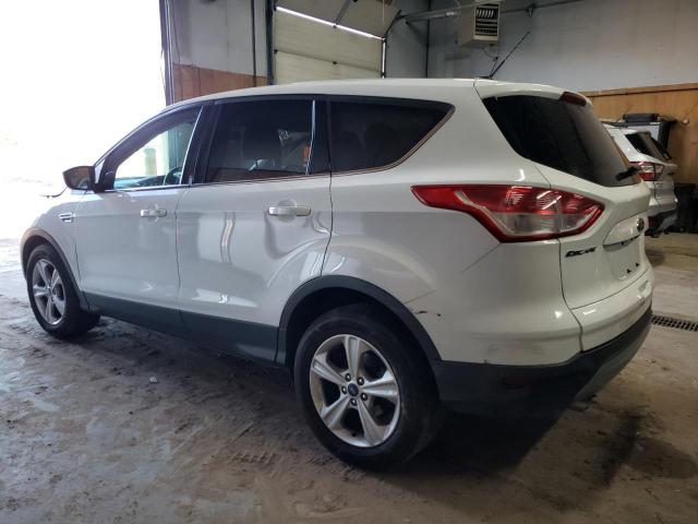 2014 FORD ESCAPE SE - 1FMCU0GX3EUE52363