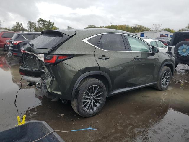 2024 LEXUS NX 350 PRE #3296894813