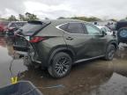 Lot #3296894813 2024 LEXUS NX 350 PRE