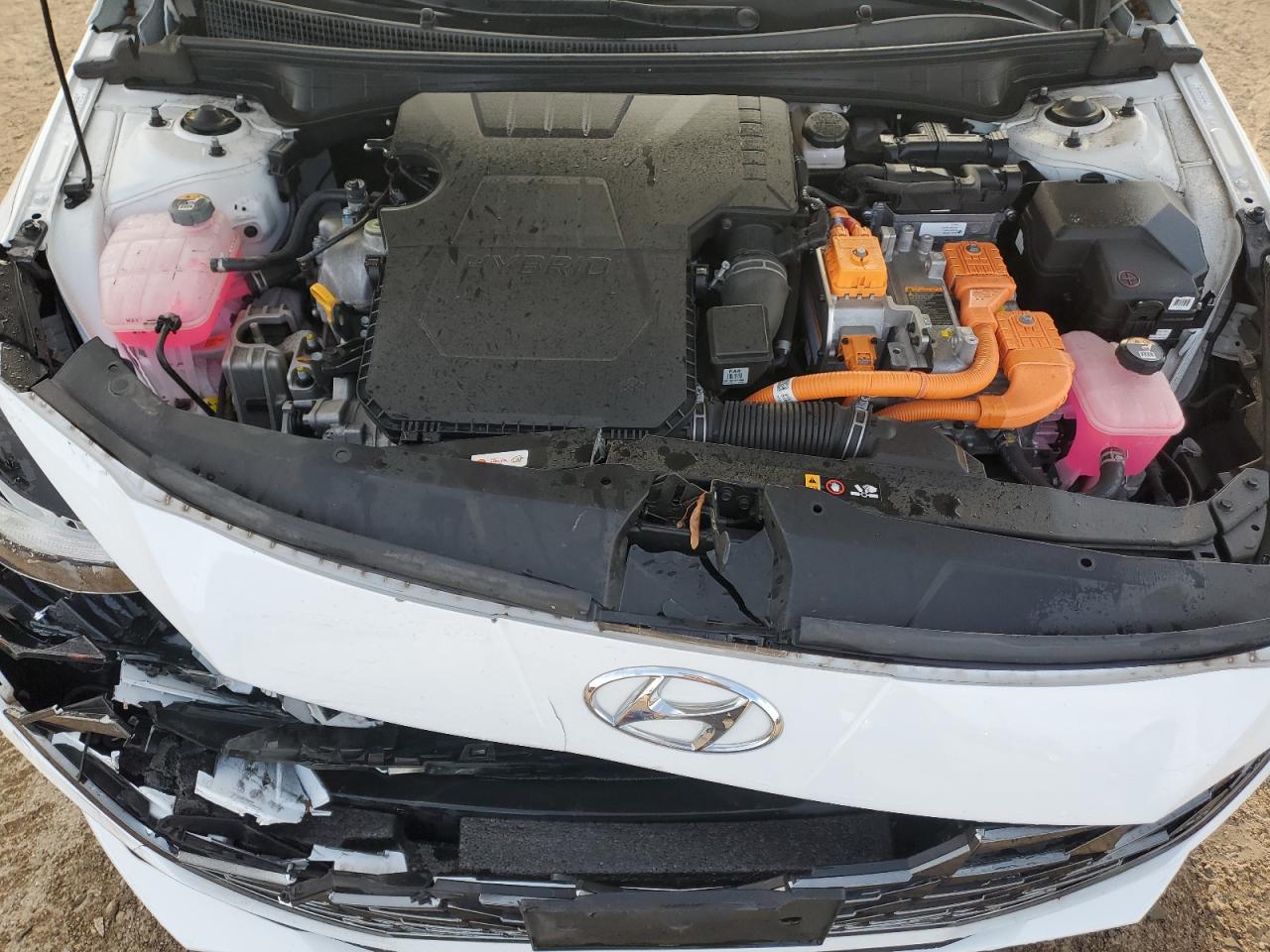 HYUNDAI ELANTRA LIMITED