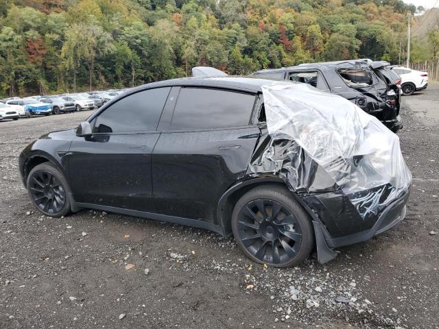 2023 TESLA MODEL Y #3279498321