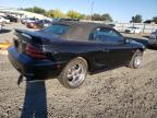 Lot #3304021589 1995 FORD MUSTANG GT