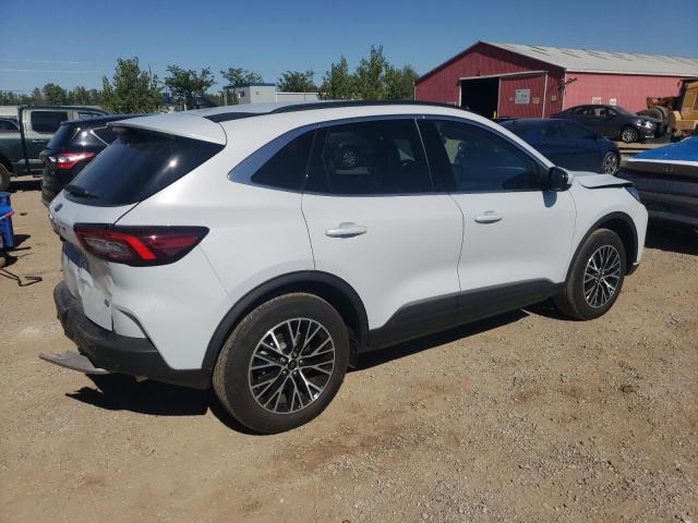 2025 FORD ESCAPE - 1FMCU0E1XSUA40032