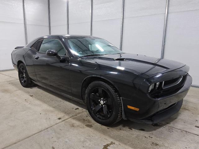 2013 DODGE CHALLENGER - 2C3CDYAGXDH524175