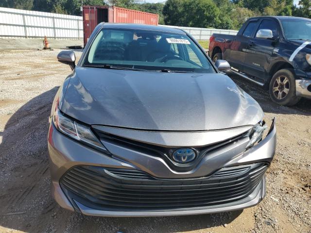 2019 TOYOTA CAMRY LE - 4T1B31HK6KU509349