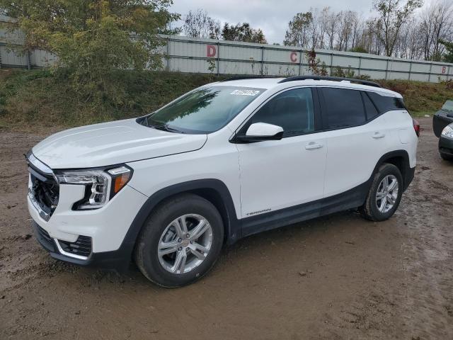 Global Auto Auctions: 2024 GMC TERRAIN SL