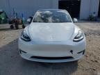 Lot #3303974716 2020 TESLA MODEL Y