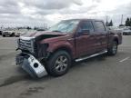Lot #3303780432 2010 FORD F150 SUPER