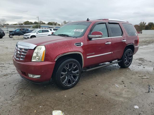 Global Auto Auctions: 2010 CADILLAC ESCALADE P