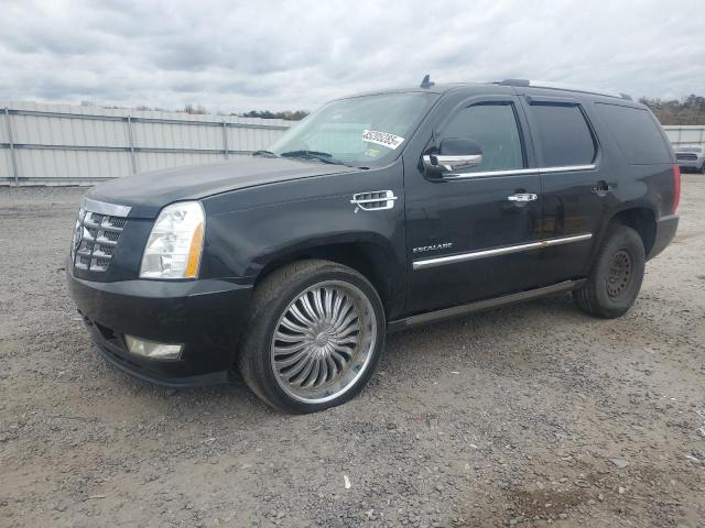 2010 CADILLAC ESCALADE P - 1GYUKCEF5AR240758
