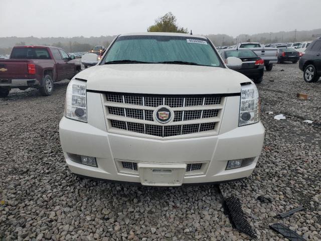 2013 CADILLAC ESCALADE P #3293551430
