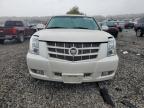 Lot #3293551430 2013 CADILLAC ESCALADE P