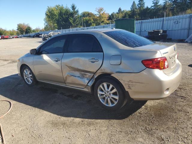 2010 TOYOTA COROLLA BASE - 2T1BU4EE9AC282350