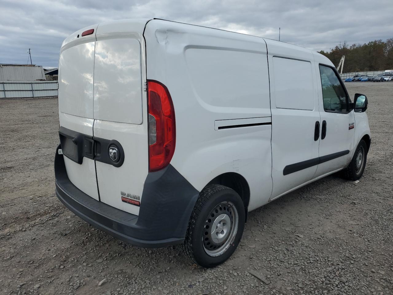 RAM PROMASTER