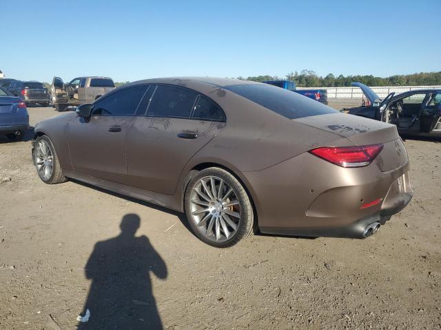 2019 MERCEDES-BENZ CLS AMG 53 - WDD2J6BB3KA033522