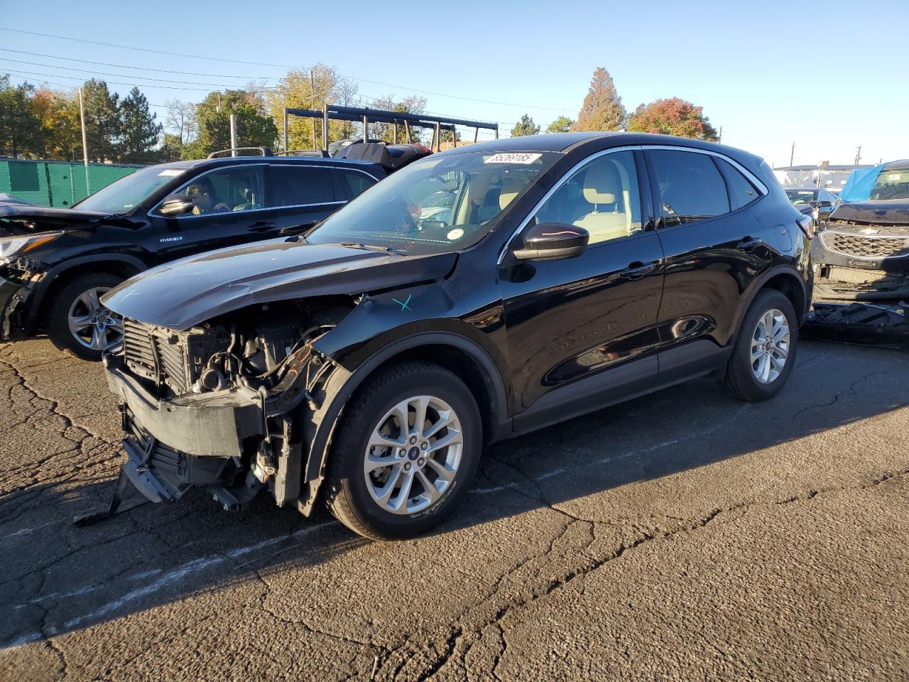 Lot #3264174174 2020 FORD ESCAPE SE