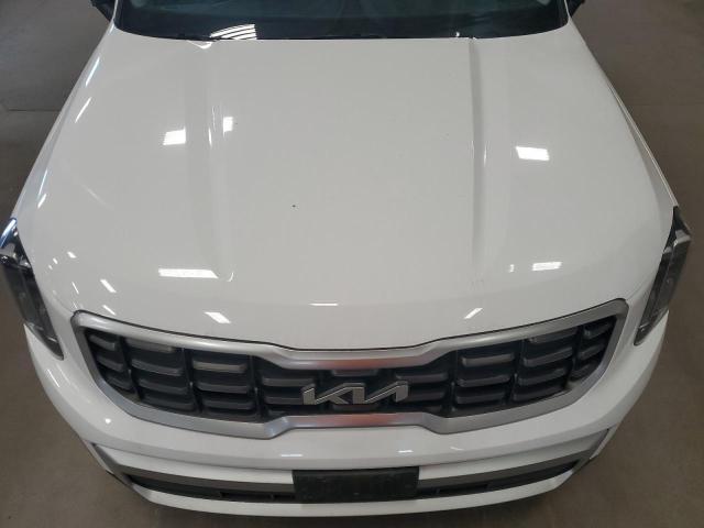 2023 KIA TELLURIDE #3280453127