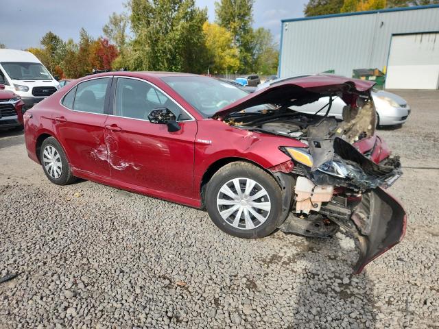 2019 TOYOTA CAMRY LE - 4T1B31HK9KU510978