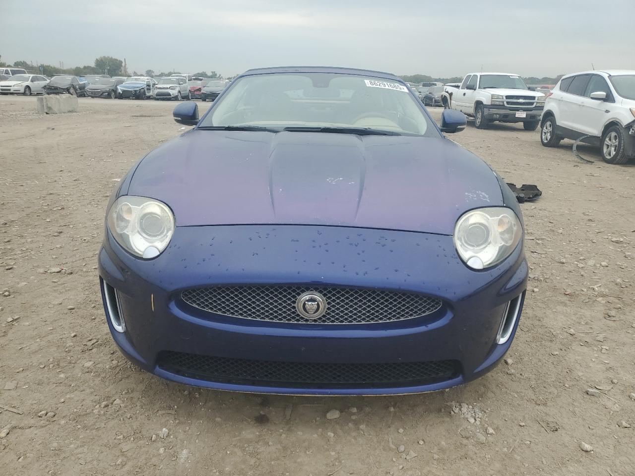 JAGUAR XK