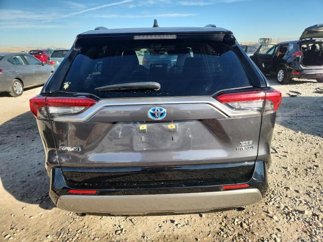 2023 TOYOTA RAV4 XSE #3294368101