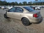 Lot #3292545677 2002 DODGE NEON SE