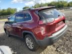 Lot #3304363586 2019 JEEP CHEROKEE L