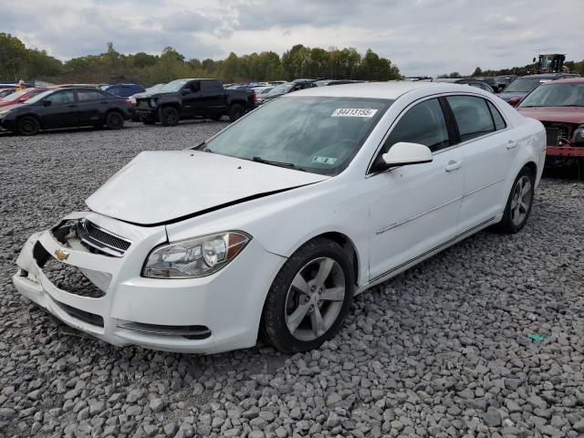 2011 CHEVROLET MALIBU 1LT #3305543092