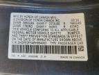 Lot #3297003836 2024 HONDA CIVIC SPOR