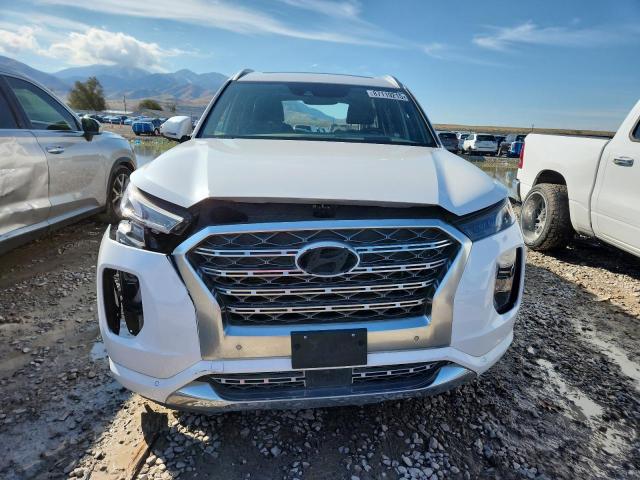 2020 HYUNDAI PALISADE L #3286772891