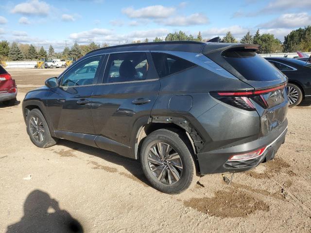 2022 HYUNDAI TUCSON BLU KM8JBCA19NU019990