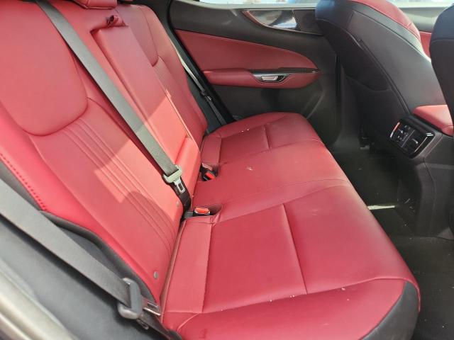 2024 LEXUS NX 250 BAS 2T2ADCAZ4RC013355