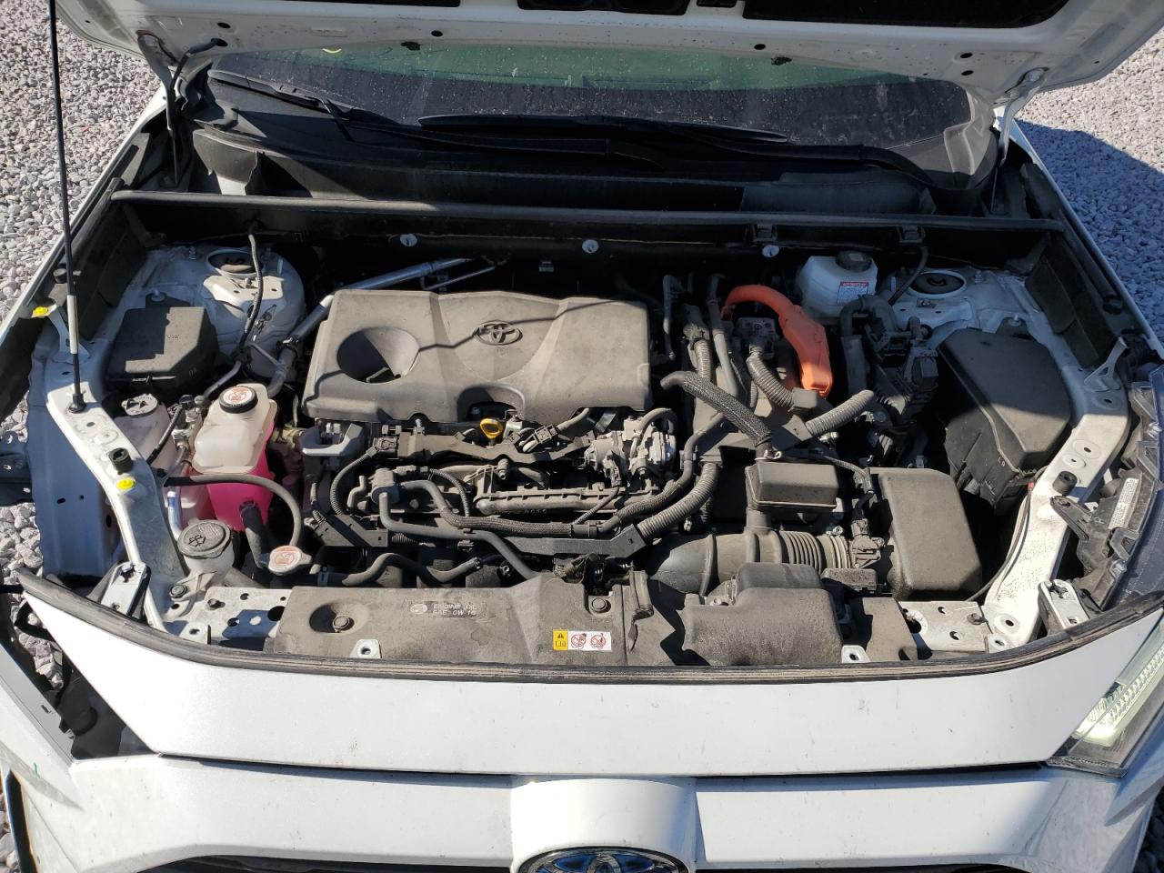 Lot #3308491329 2022 TOYOTA RAV4 SE