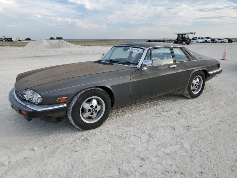 JAGUAR XJS