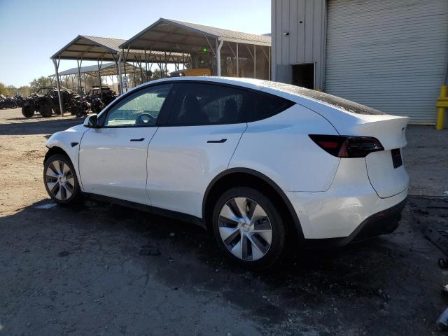 2022 TESLA MODEL Y #3283776425