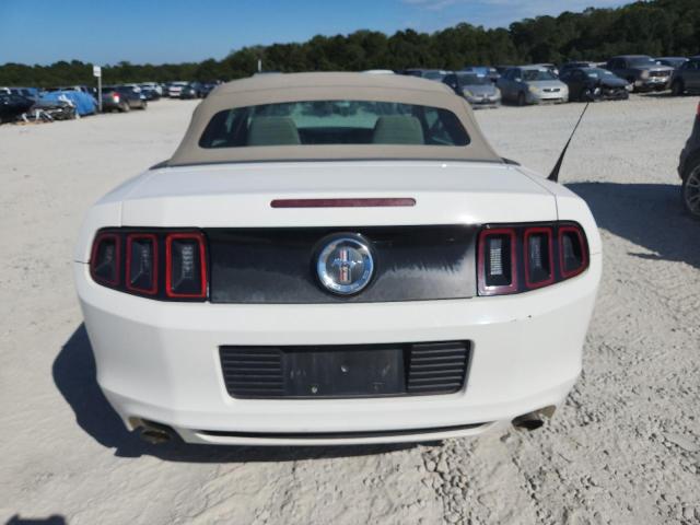 2013 FORD MUSTANG - 1ZVBP8EMXD5205085
