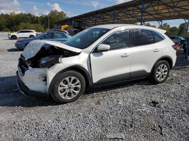 Global Auto Auctions: 2023 FORD ESCAPE ACT