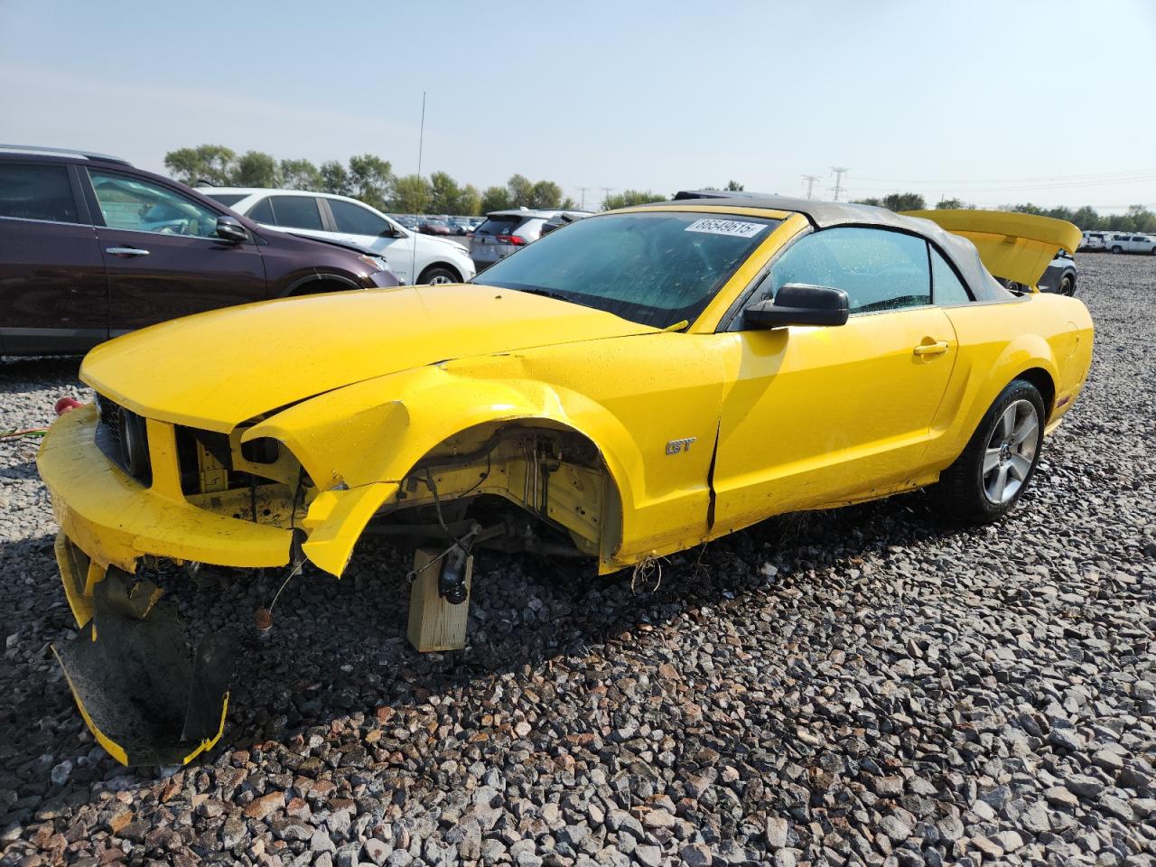Lot #3296419645 2006 FORD MUSTANG GT