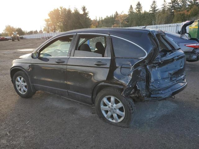 2010 HONDA CR-V LX - 5J6RE3H38AL801343