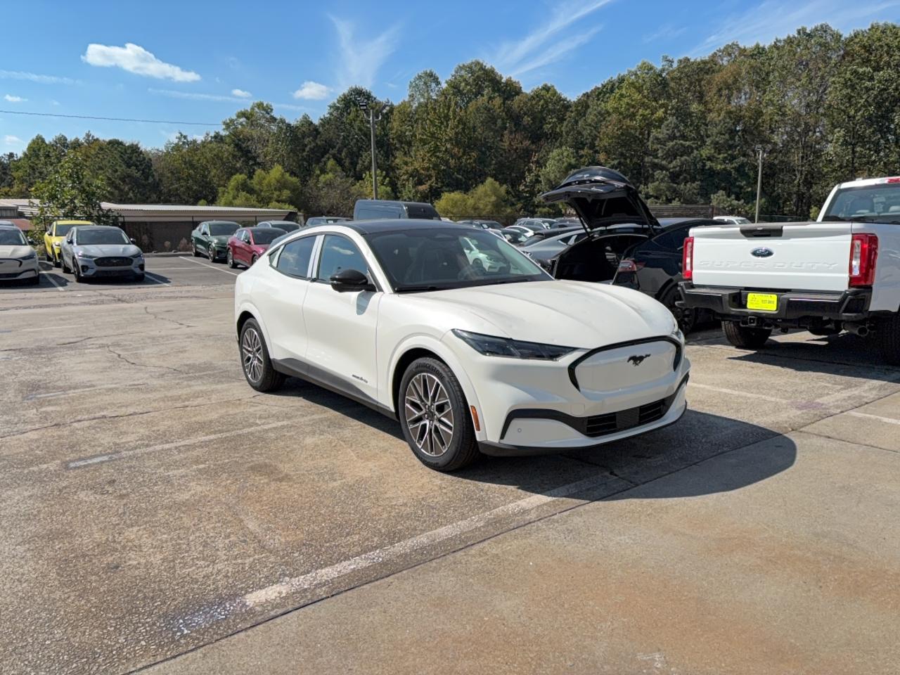 FORD MUSTANG PREMIUM