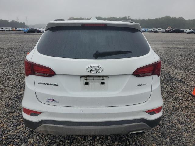 2017 HYUNDAI SANTA FE S - 5NMZU3LBXHH011173