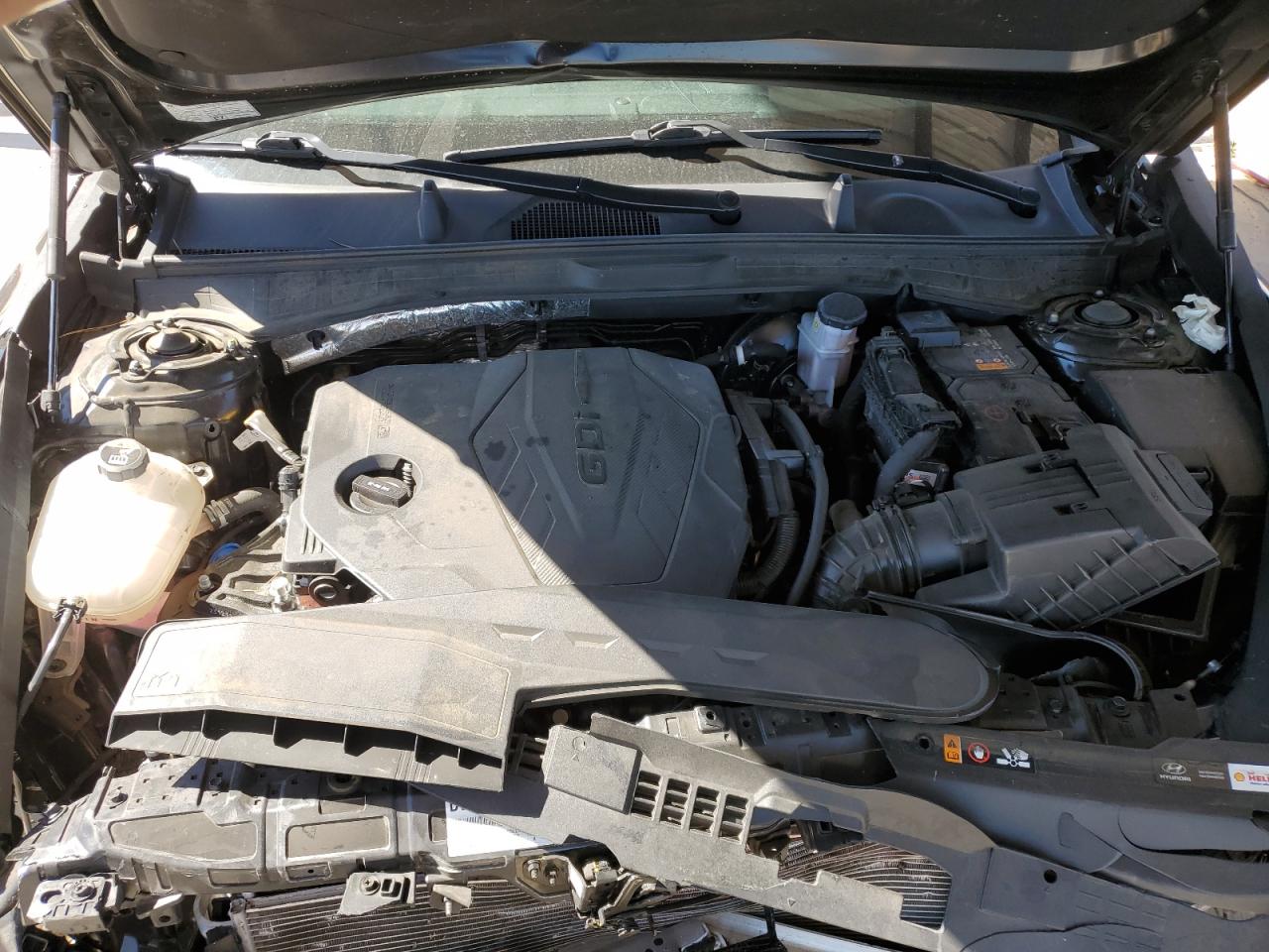 Lot #3309582578 2024 HYUNDAI SONATA